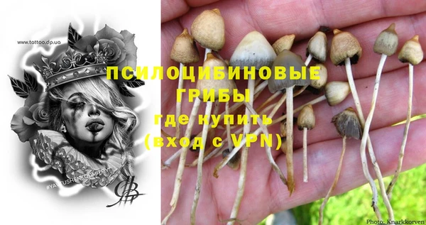герыч Горнозаводск