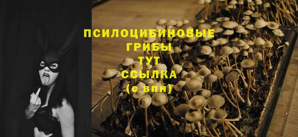 герыч Горнозаводск